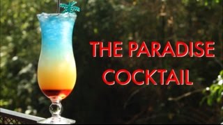 How To Make A Paradise Tropical Layered Cocktail  Drinks Made Easy [upl. by Nedia607]