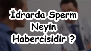 İdrarda Sperm Neyin Habercisidir [upl. by Nayd]