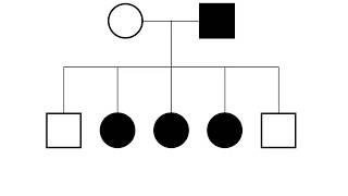 XLinked Pedigrees MADE EASY [upl. by Samuela]