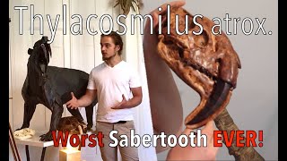 Thylacosmilus atrox The Marsupial Sabertooth [upl. by Maiocco]