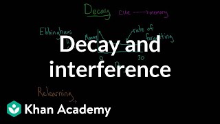 Decay and interference  Processing the Environment  MCAT  Khan Academy [upl. by Liartnod653]