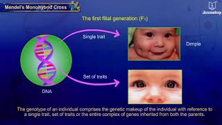 Heredity and Variation  Science and Technology  Grade 9  Jeevandeep [upl. by Bittencourt]