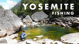 Fishing INCREDIBLE Streams in Yosemite National Park Tenkara Fly Fishing [upl. by Magel]