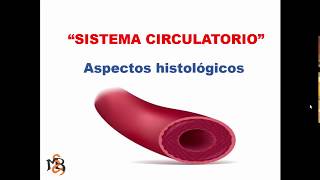 Histología del Sistema Cardiovascular [upl. by Narual]