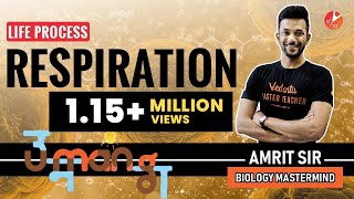 Life Processes  CBSE Class 10  Respiration  Types  VS Breathing Digestion Photosynthesis [upl. by Nathanael]