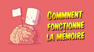 Psychologie  Comment fonctionne la mémoire [upl. by Ravahs]