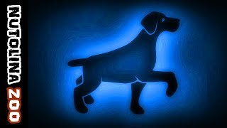 Blaffende hond geluid  Hunde bellen sound  Dog sound effect  Dźwięk psa [upl. by Anait]