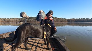 Livescoping prespawn crappie on Lake Greeson  spring break  part 1 of 2 [upl. by Nileuqcaj172]