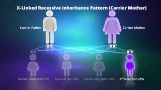 Inherited Genetic Disorders  Genetics  Biology  FuseSchool [upl. by Oslec476]