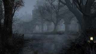 Haunted Forest Sounds  Ghostly Murmurs  1 Hour [upl. by Sum707]