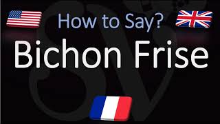 How to Pronounce Bichon Frisé CORRECTLY English French Dog Breed Pronunciation [upl. by Esinrahs81]