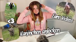 Kaninchen anlocken  Eure Videos [upl. by Coy]