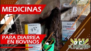 MEDICINA para controlar la diarrea en bovinos [upl. by Weikert98]