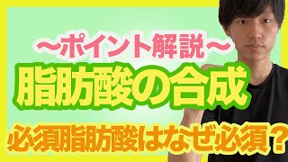 【脂肪酸の合成】過程を知ると必須脂肪酸の意味がわかる！飽和脂肪酸から不飽和脂肪酸まで重要ポイントをマスターしよう！ [upl. by Hoxie]