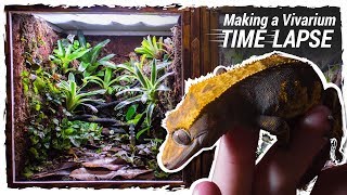 Making a Crested Gecko Vivarium Time Lapse [upl. by Delcina]