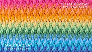 HOW to CROCHET ALPINE STITCH  Stitchorama by Naztazia [upl. by Fin541]