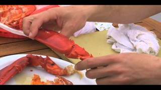 How to eat a lobster [upl. by Assirrac]