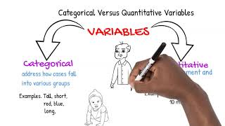 Categorical Versus Quantitative Variables [upl. by Reiss877]