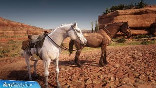 Red Dead Redemption 2  All Unique Wild Horse Locations RDR2 Ultra Rare Horses [upl. by Ecela]