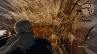 Witcher 3 Wild Hunt  Secret Room in Royal Palace of Vizima [upl. by Dhumma]