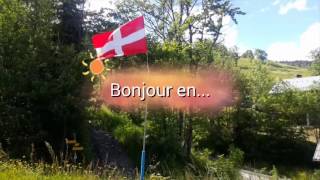 Bonjour en 8 langues différentes [upl. by Rahr]