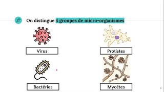 Les microorganismes 🦠 [upl. by Lottie]