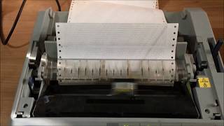 How to print a self test on an Epson FX 890 dot matrix printer [upl. by Acinaj793]