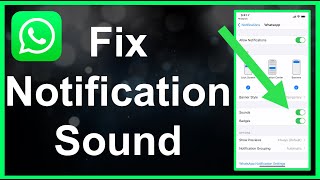 How To Fix WhatsApp Notification Sound EASY [upl. by Eilujna]