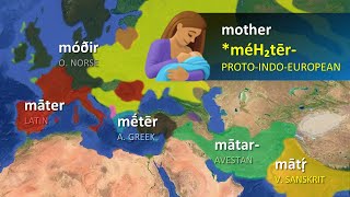 IndoEuropean Languages  Word Comparisons [upl. by Elatnahs]