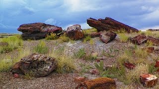 Petrified Forest National Park [upl. by Ruby]