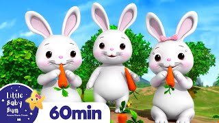 Bunnies Bunnies More Nursery Rhymes and Kids Songs  Little Baby Bum [upl. by Nacul]