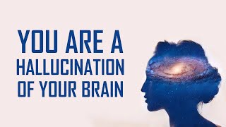 You Are A Hallucination Of Your Brain [upl. by Dinny]