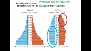 Struktura wieku i płci [upl. by Ellehcyt]