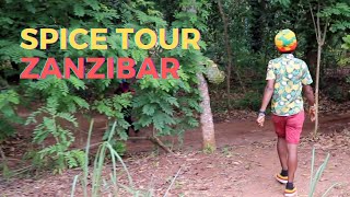 Spice Tour in Zanzibar Tanzania  Travel Vlog [upl. by Emile]