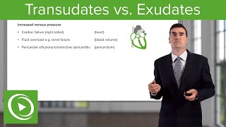 Transudates vs Exudates – Pleural Disease  Lecturio [upl. by Adnuhsar]