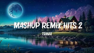 TRINIX  Mashup Remix Hits 2021 Hot Lyrics 2023 [upl. by Einamrej]