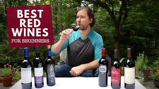 The Best Red Wines For Beginners Series 3 Merlot [upl. by Anaed355]