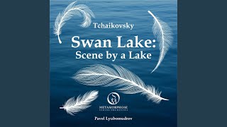 Swan Lake Op 20 Scene by a Lake [upl. by Hodge]