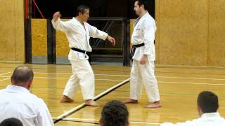 Sensei Masao Kagawa explaining different points in kata jion [upl. by Carole343]