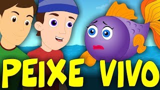 Peixe vivo  33 Minutos de Música Infantil  Canções Populares [upl. by Chirlin]