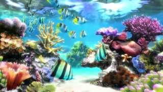 Sim Aquarium  Screensaver amp Live Wallpaper  SimAquariumcom [upl. by Phip]