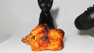 Kitten eating Roast chicken ASMR [upl. by Kciregor]