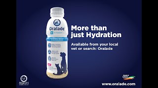 Oralade GI Support UK [upl. by Secor]