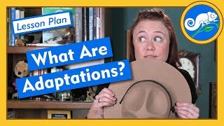 What Are Adaptations  Lesson Plan [upl. by Mirth88]