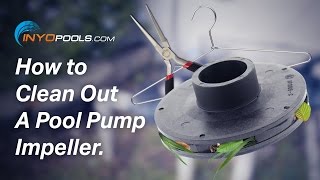 How To Clean Out A Pool Pump Impeller [upl. by Herman]