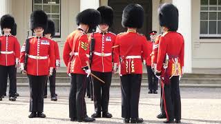 Nijmegen Company Grenadier Guards [upl. by Olenta]