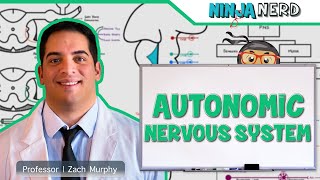 Neurology  Autonomic Nervous System [upl. by Anthea363]