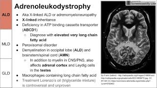 Leukodystrophies ALD MLD and GLD [upl. by Kelcie]