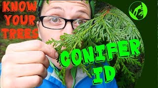 Know Your Trees  Conifer Identification [upl. by Thamora]