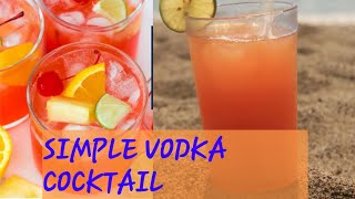 Simple Vodka Punch  Adult cocktails [upl. by Ladnik238]